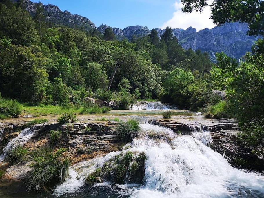 Ca La Cabrera Lägenhet Alfara de Carles Exteriör bild
