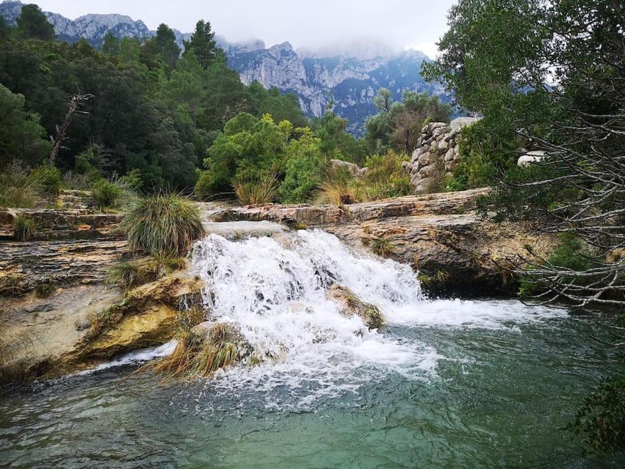 Ca La Cabrera Lägenhet Alfara de Carles Exteriör bild
